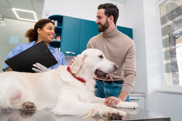 Consulta Veterinária