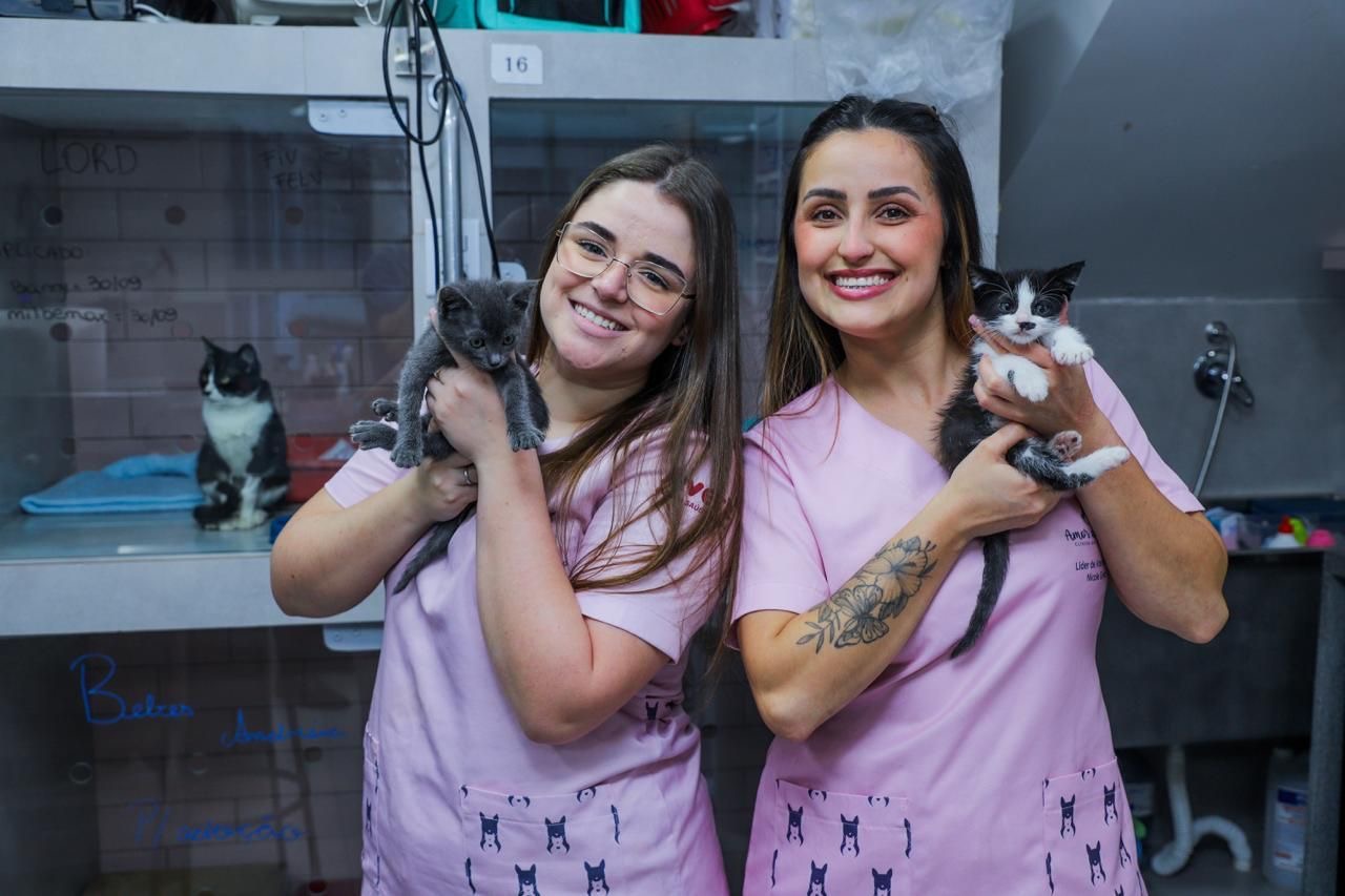 Clínica Amor de Bicho