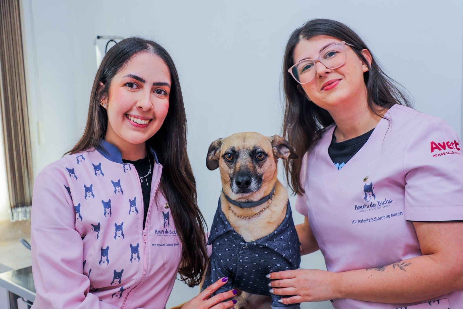 Clínica veterinária Amor de Bicho